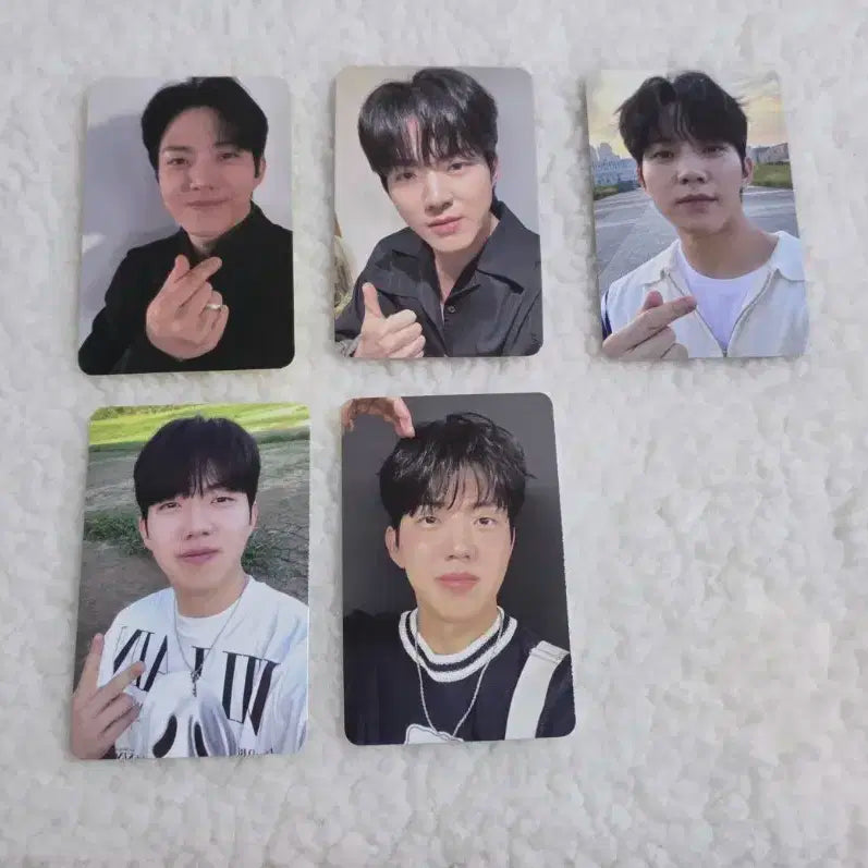 데이식스 도운 포카 일괄 판매