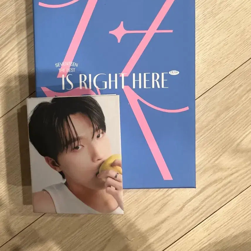 세븐틴 캐럿반 디노
