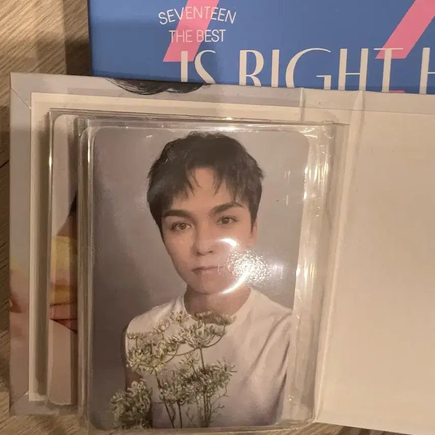 세븐틴 캐럿반 디노