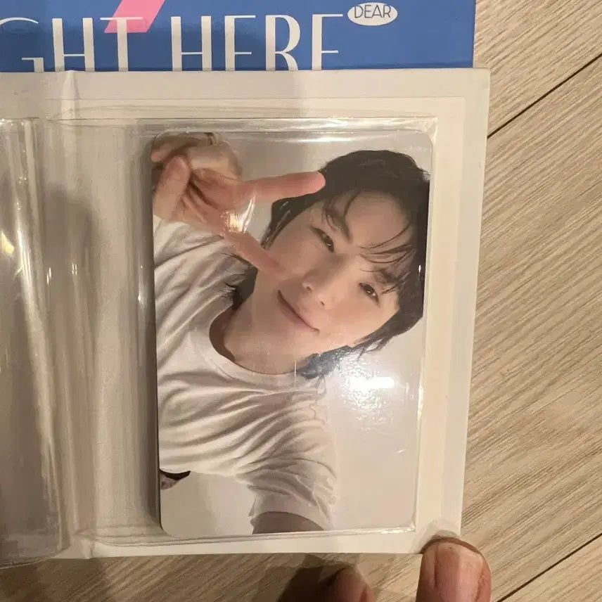 세븐틴 캐럿반 디노