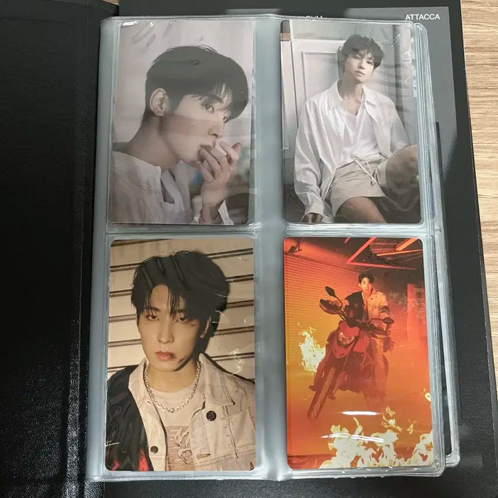 세븐틴 원우 아타카 캐럿반