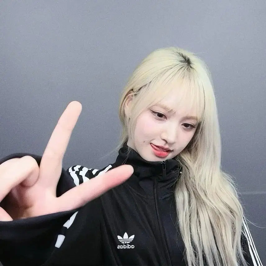 [아이브 리즈 시그 포카]