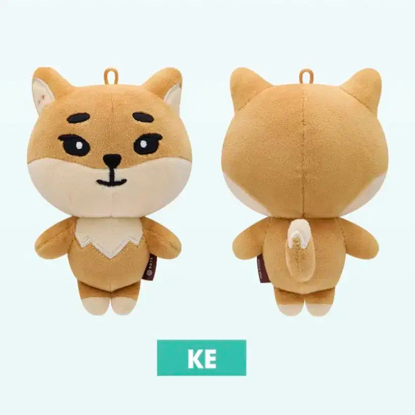 데이식스 데니멀즈 24 케