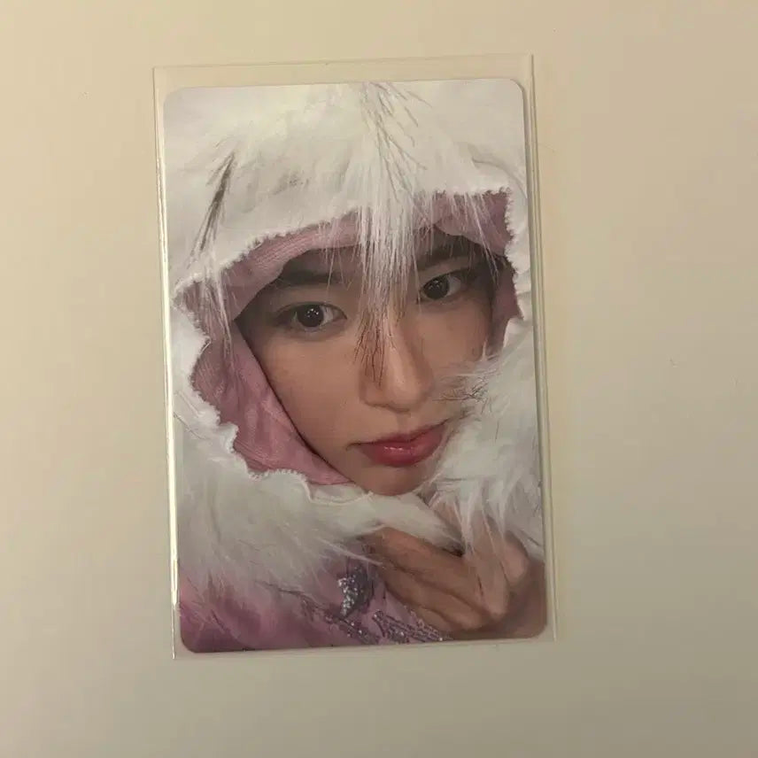 시온 초회한정판 포카