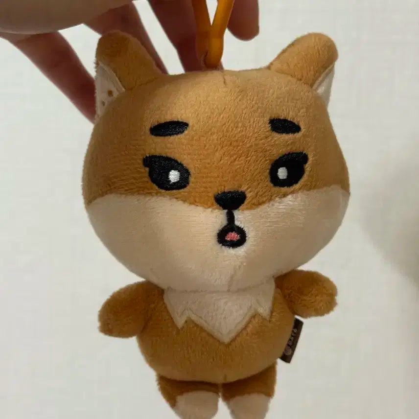 데이식스 데니멀즈 케 22 (구버전)