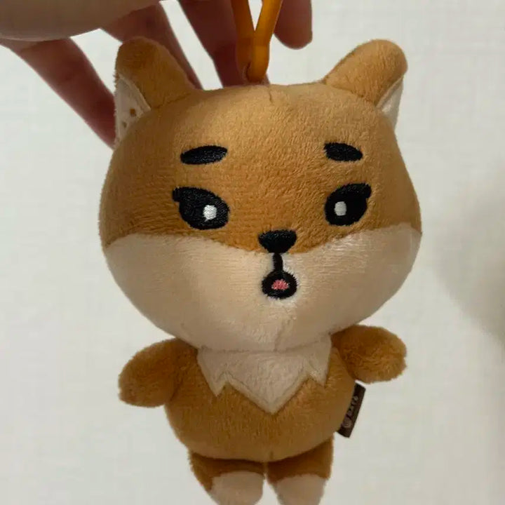 데이식스 데니멀즈 케 22 (구버전)