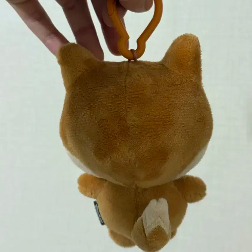 데이식스 데니멀즈 케 22 (구버전)