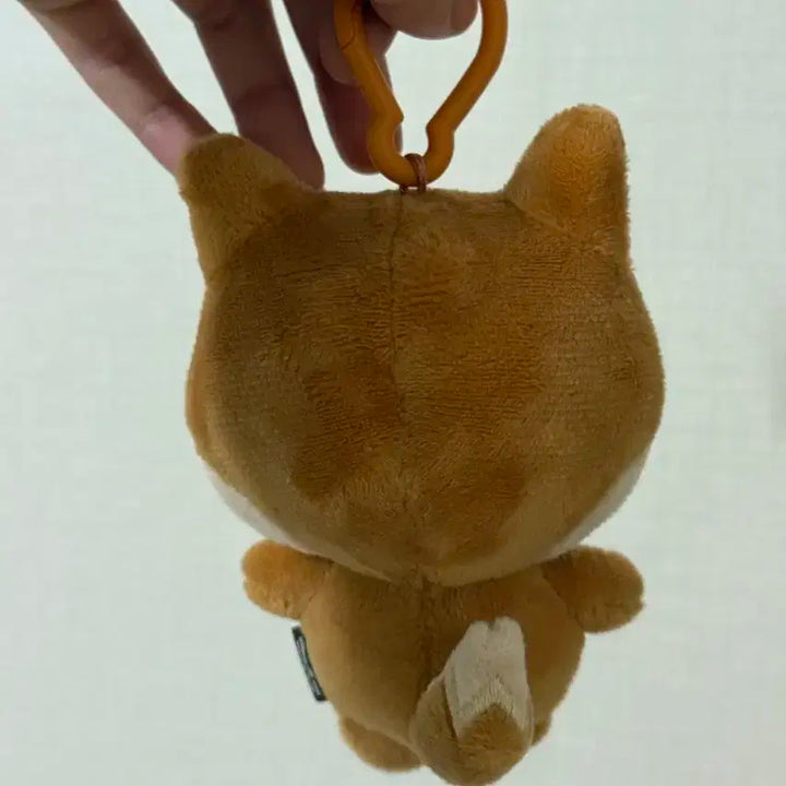 데이식스 데니멀즈 케 22 (구버전)