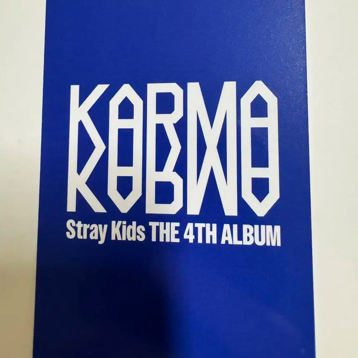 스트레이키즈 스키즈 karma 뮤직플랜트 방찬