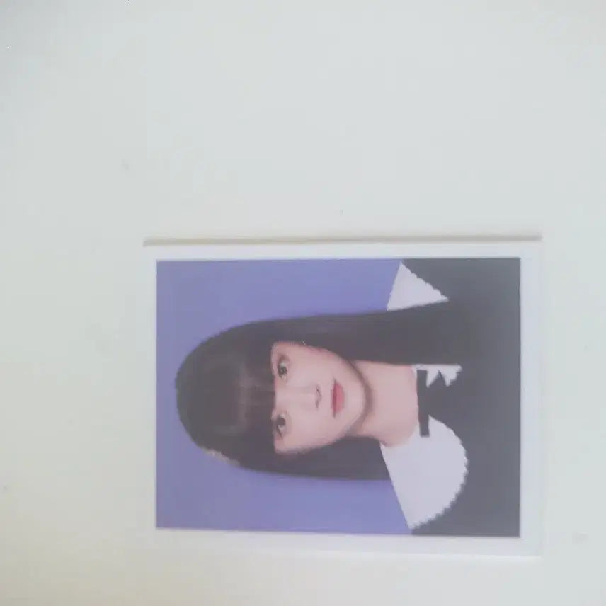 르세라핌 홍은채 증사 팔아요