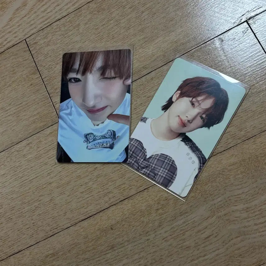 (일괄) 엔시티위시 사쿠야 포카 컬러