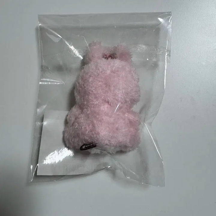 앉은 쁘멀 필