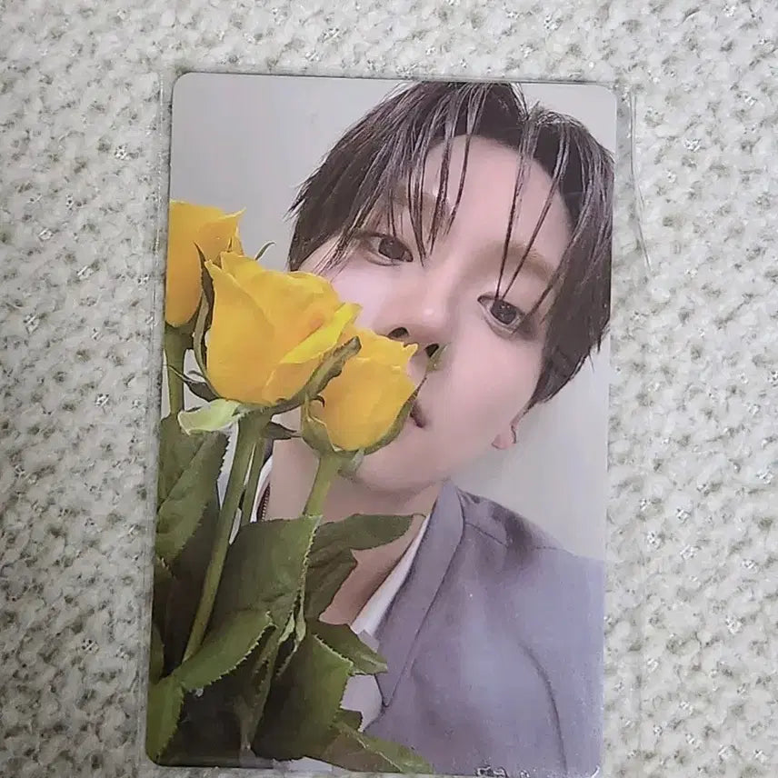 보플 아카이브 이상원 2주차 5번 포카