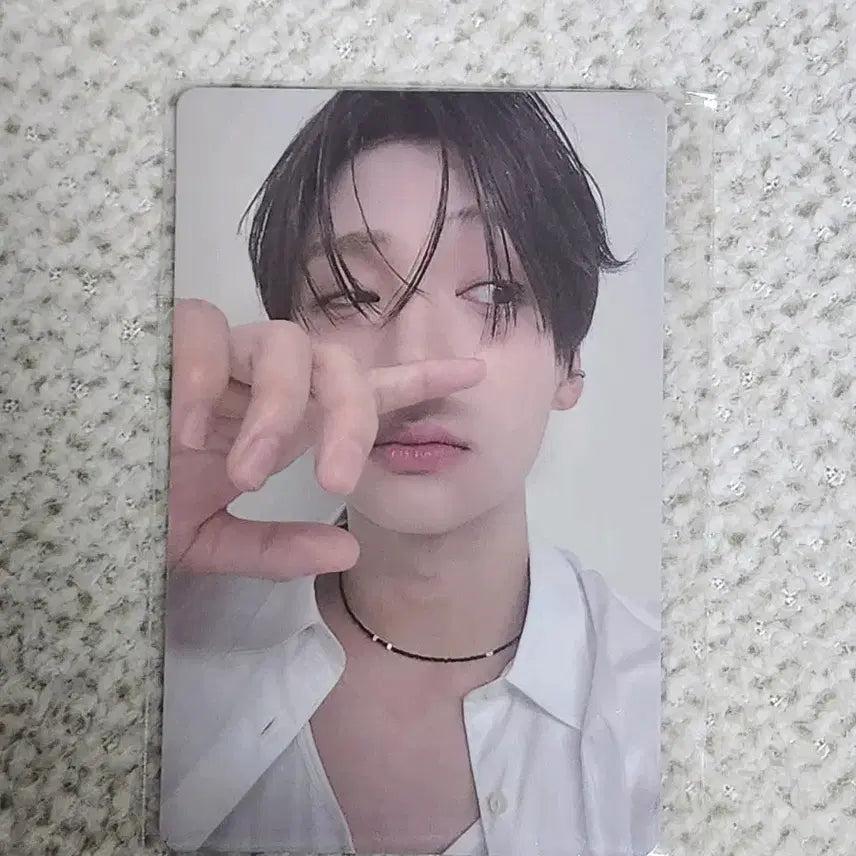 보플 아카이브 이상원 2주차 8번 포카