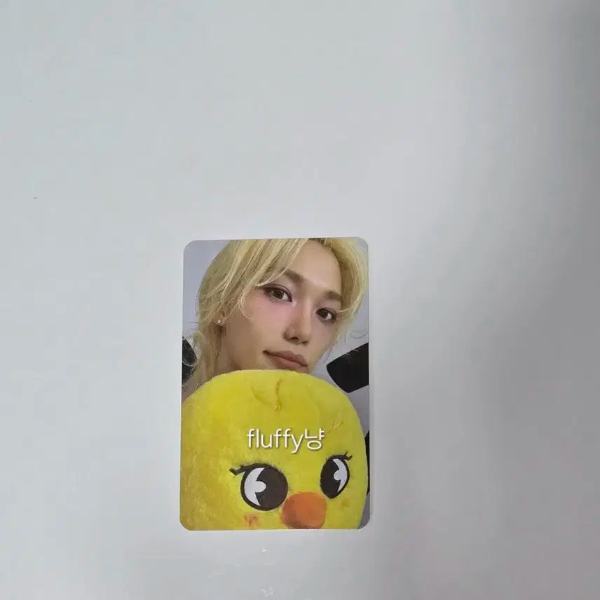 스트레이키즈 스키즈 팝업 4만원 필릭스 용복 포카