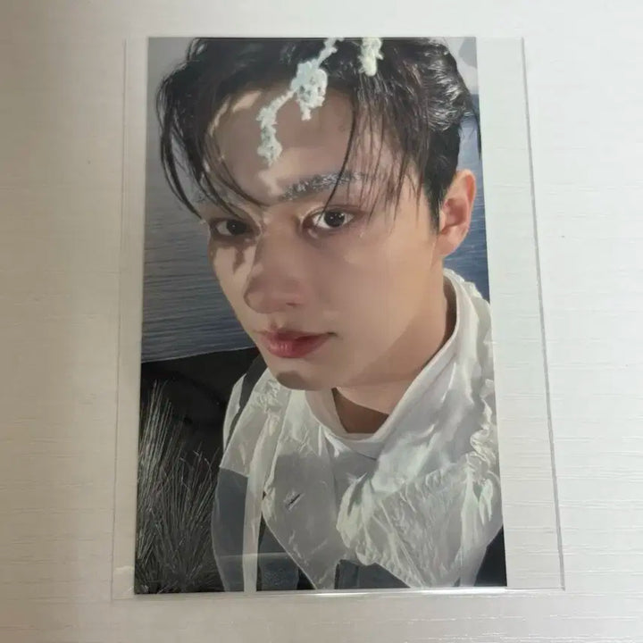 세븐틴 준 준휘 SECTOR 17