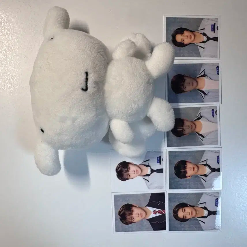 보이넥스트도어 보넥도 운학 인형 행우나 판매 양도