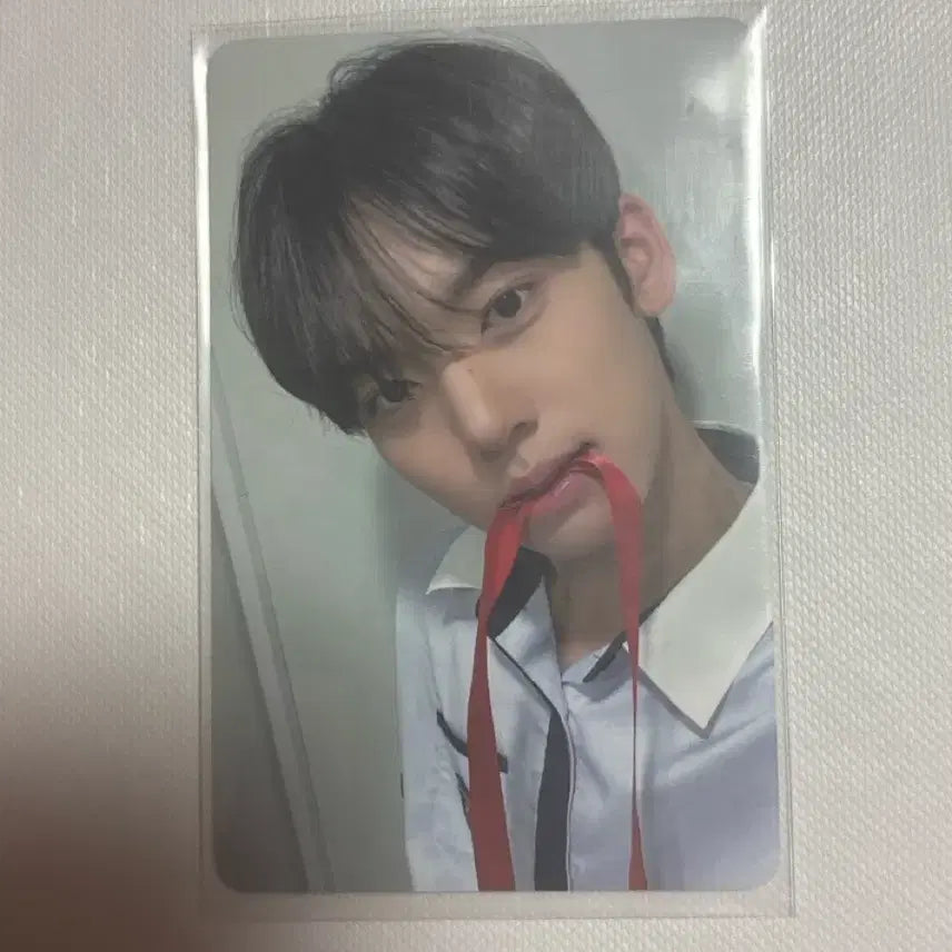 제베원 한유진 한림 리본 포카