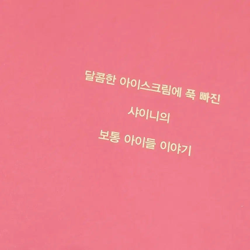 샤이니 SHINee 베스킨라빈스 배스킨라빈스 포토북 브로슈어 양도