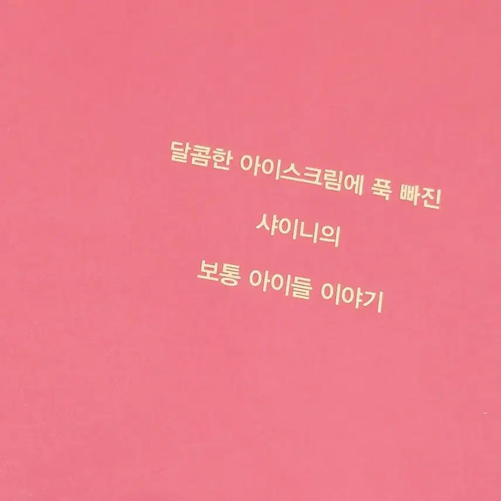 샤이니 SHINee 베스킨라빈스 배스킨라빈스 포토북 브로슈어 양도