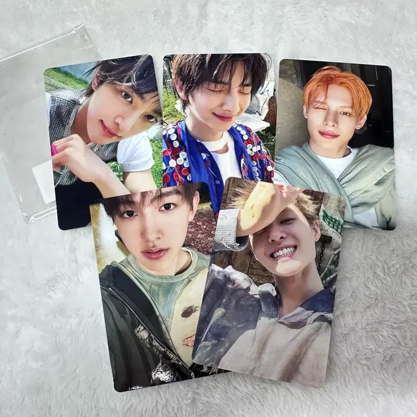 코르티스 CORTIS 위버스 재팬 특전 포카 5장 일괄