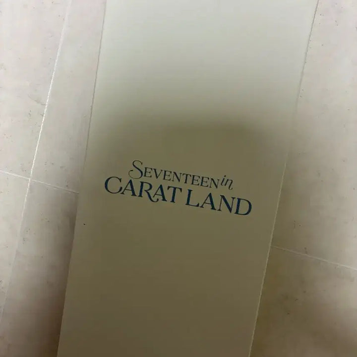 세븐틴 캐럿랜드 아크릴 스탠드