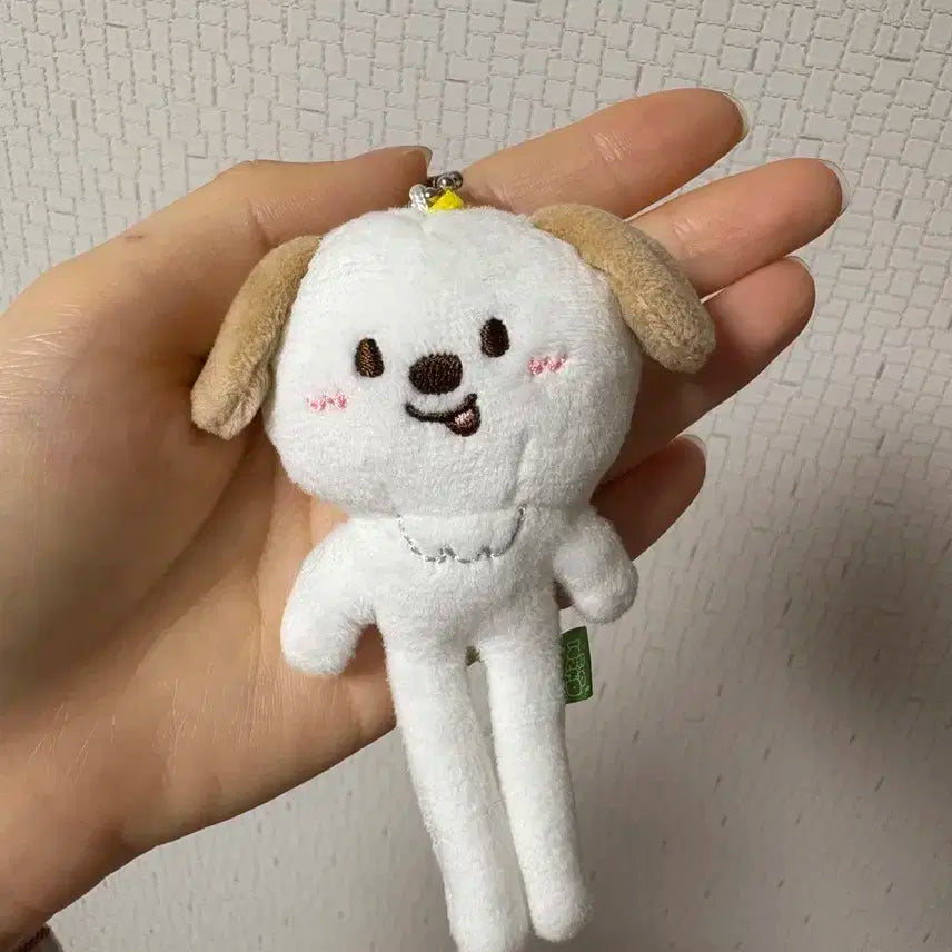 라이즈 롱다리 멍룡이