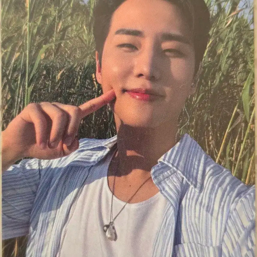 데이식스 영케이 블드미 포카 블루드림미디어