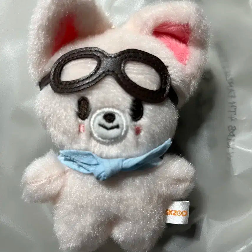 스키즈 파일럿 콩키주 폭시니 아이엔