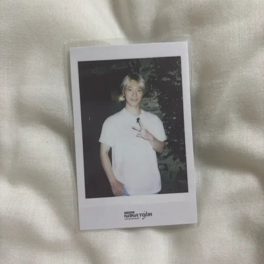 세븐틴 디노 나나투어 폴라 폴라로이드 포카 포토카드 양도