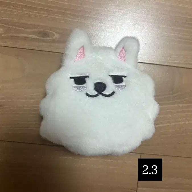 용멍이 결제창