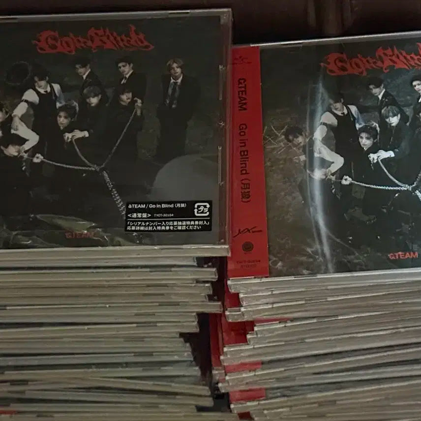 앤팀 &team 고인블라인드 Go in Blind 스탠다드 미개봉 앨범