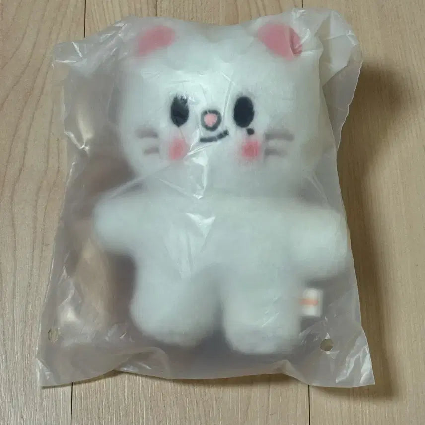 스키즈 팝업 스키주 지니렛 현진 스탠딩돌