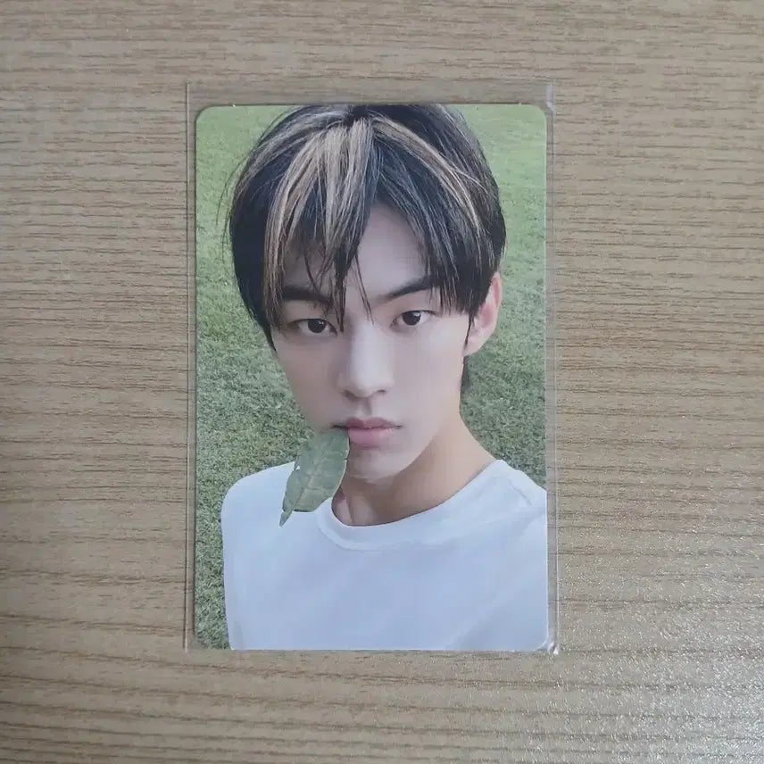 투어스 도훈 포카