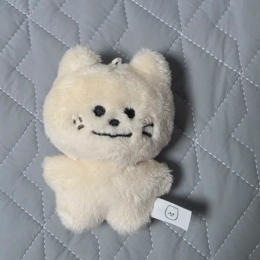 모짜빈 아스트로 문빈 인형