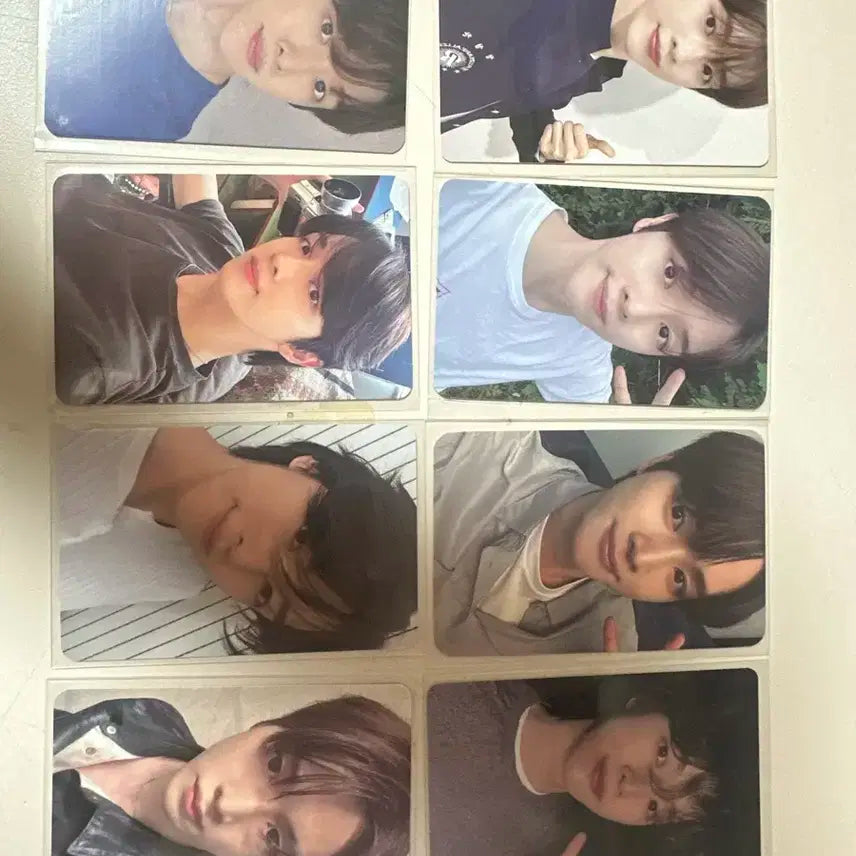 라이즈 성찬 포카 일괄 판매 25장