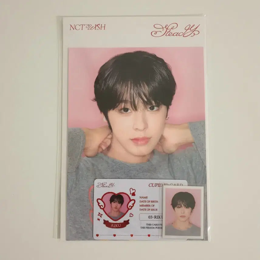 엔시티 위시 스테디 리쿠 포토 세트 스테디 팝업 굿즈