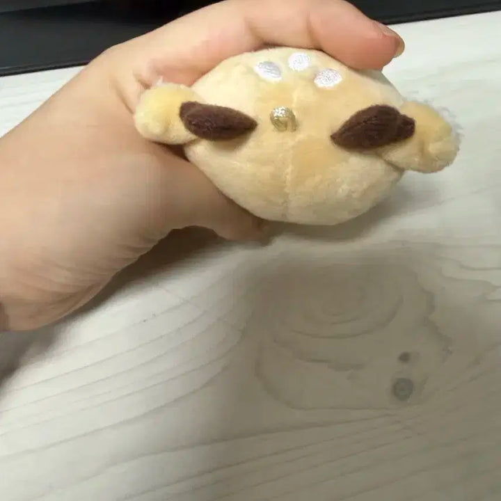 라이즈 정성찬 팬메이드 인형 뽀찬 뽀찬이 성찬 양도