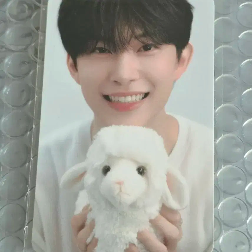 보플 아카이브 김건우 1주차 포카