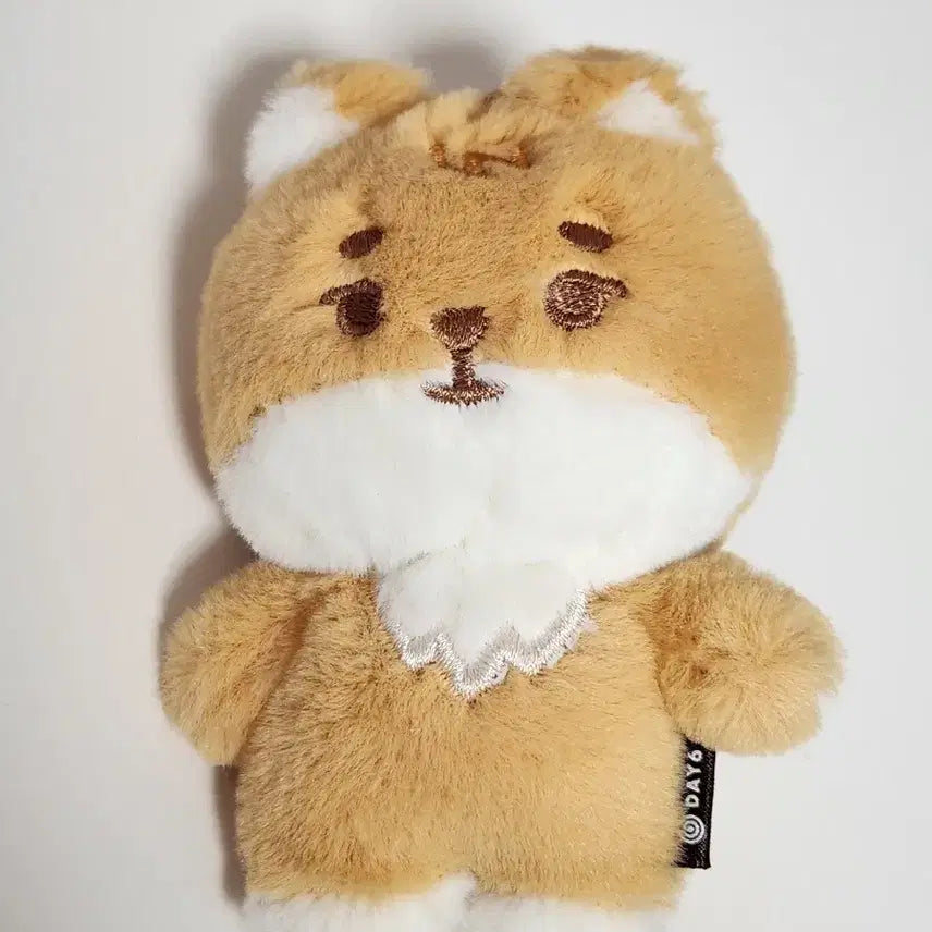 쁘띠멀즈 케  쁘멀 데니멀즈 영케이 양도