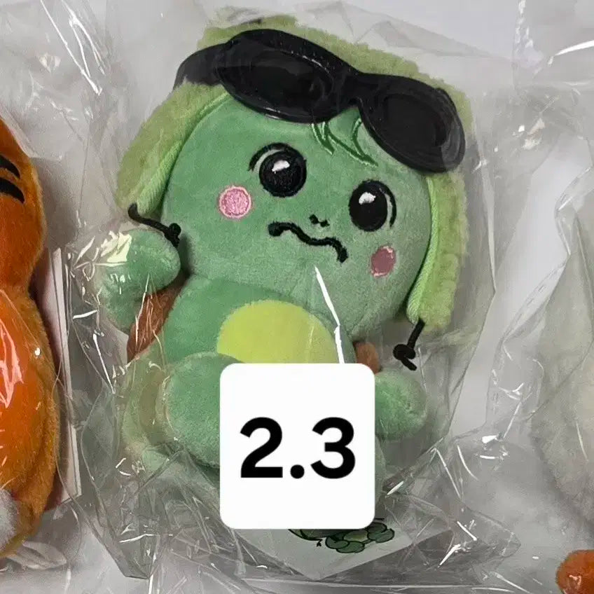 몬스타엑스 몬뭉치 미니채부기 양도