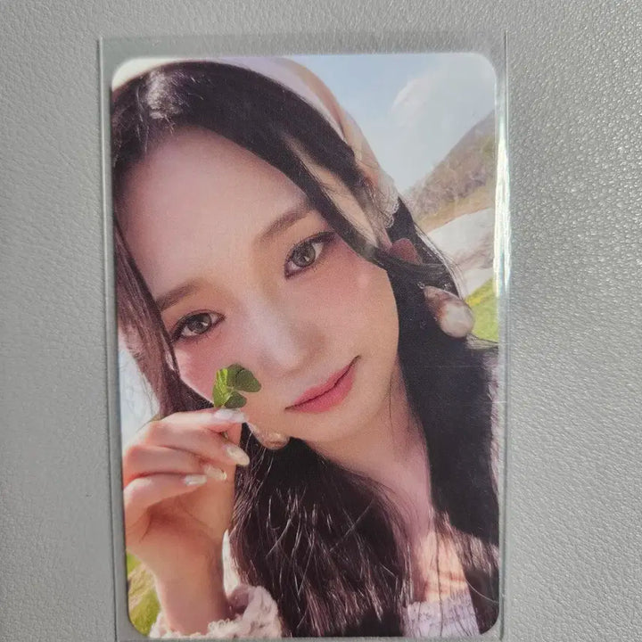 프로미스나인 노지선 지선 플로버 포카 포토북 포카 팜버전 포카