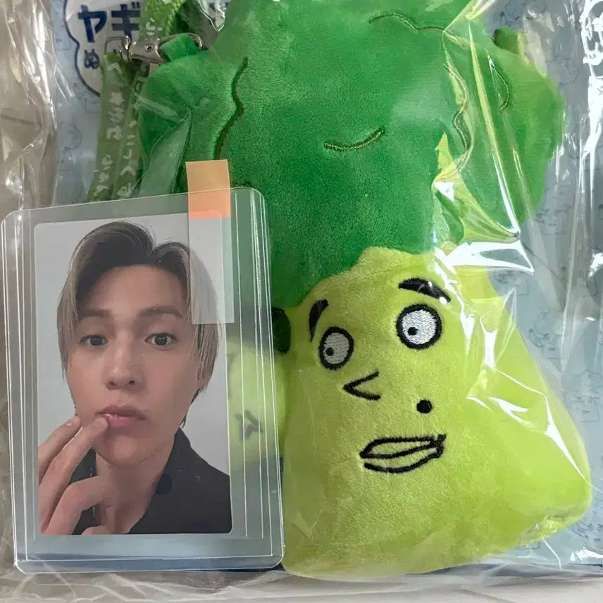 야기콜리 양도