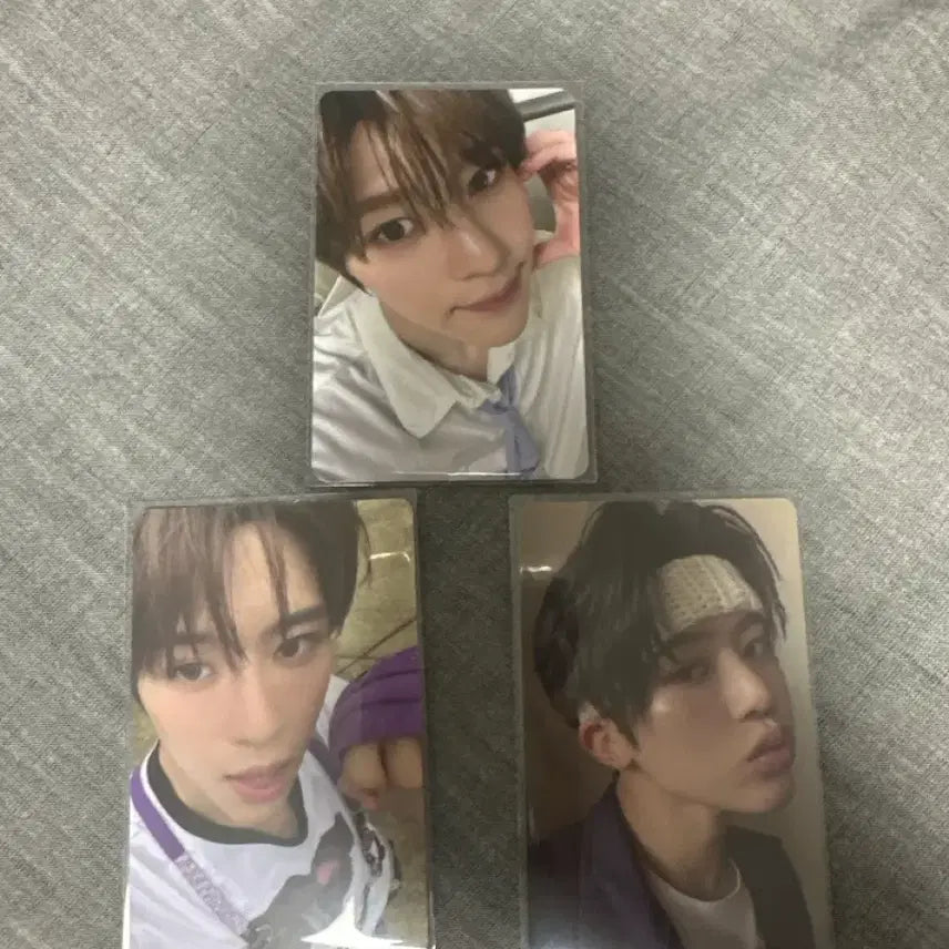 엔시티위시 시온 포카 스테디 컬러 엠디 오시온