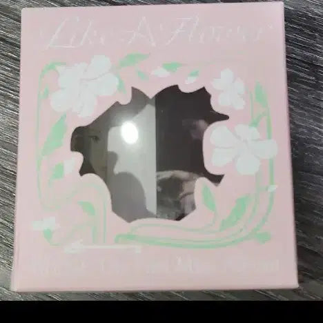 아이린 Like A Flower 앨범 박스/구성품