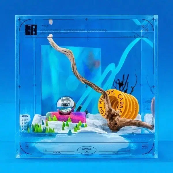 밴드 오월오일 삭 앨범 급처합니다 (미개봉)