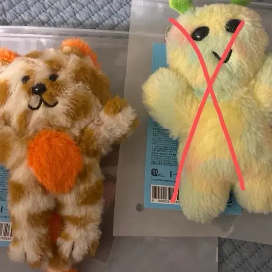쁘넥도 인형 캣삐 보이넥스트도어 성호 인형