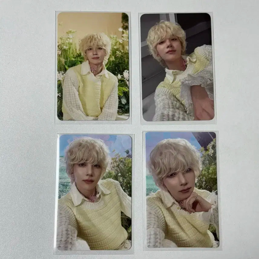 THIS MAN 정한 / KPOP MERCH  쇼피특전 / 앨범포카 /전