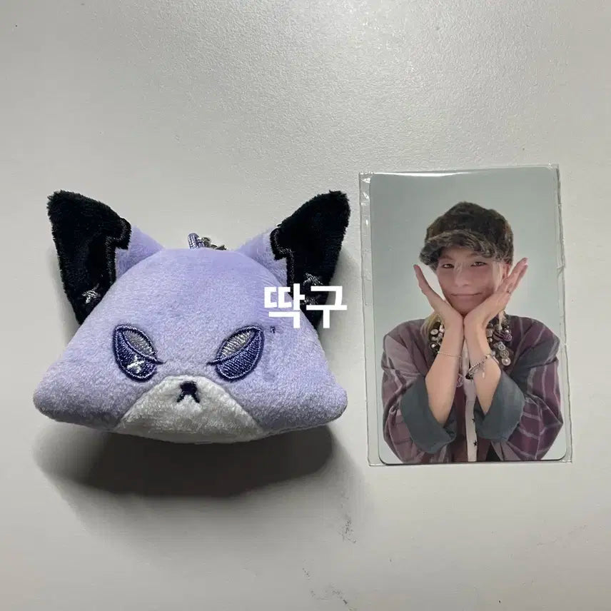 엑디즈 폭드 페이스키링 원가 양도(포카 포함)