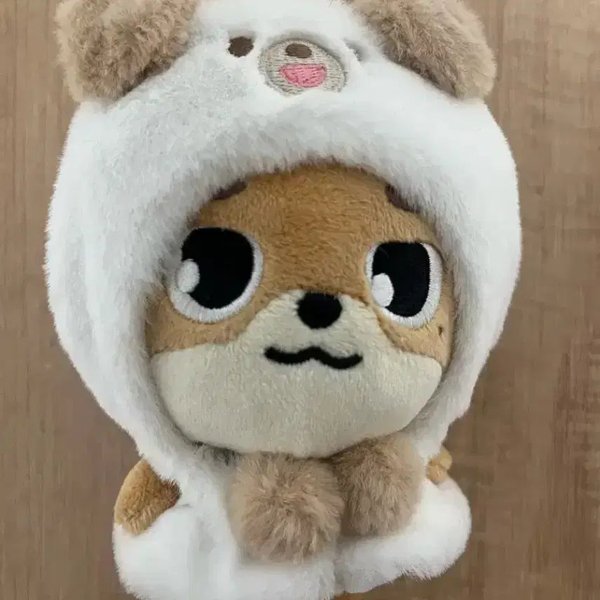 데니멀즈 돈 (사진 속 옷 포함)